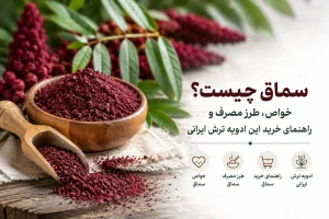 تصویر شاخص مقاله سماق چیست؟