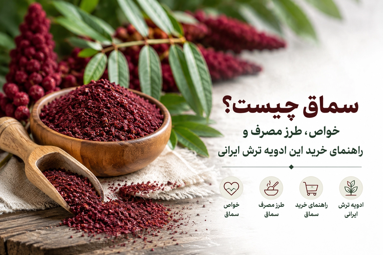 تصویر شاخص مقاله سماق چیست؟